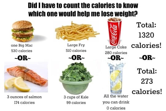Can Counting Calories Help Me to Lose Weight?
